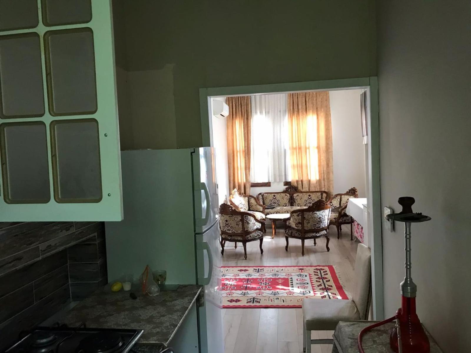Guest house Antique House